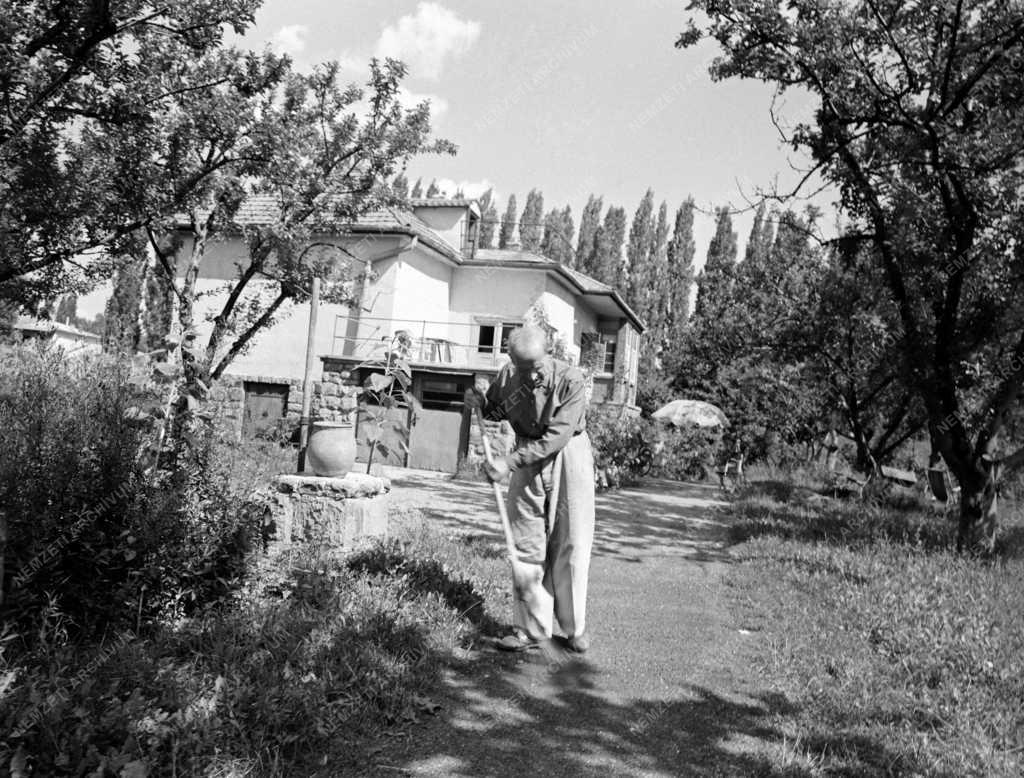 Képzőművészet - Czóbel Béla festőművész