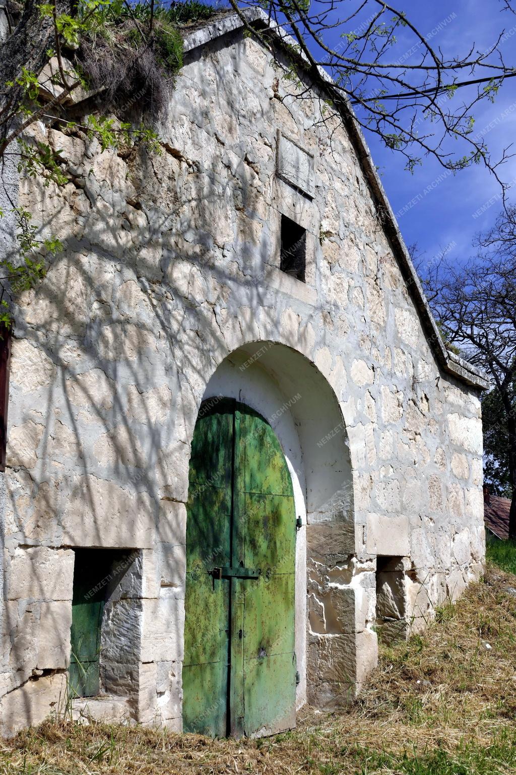Település - Présházak és borospincék Tökön