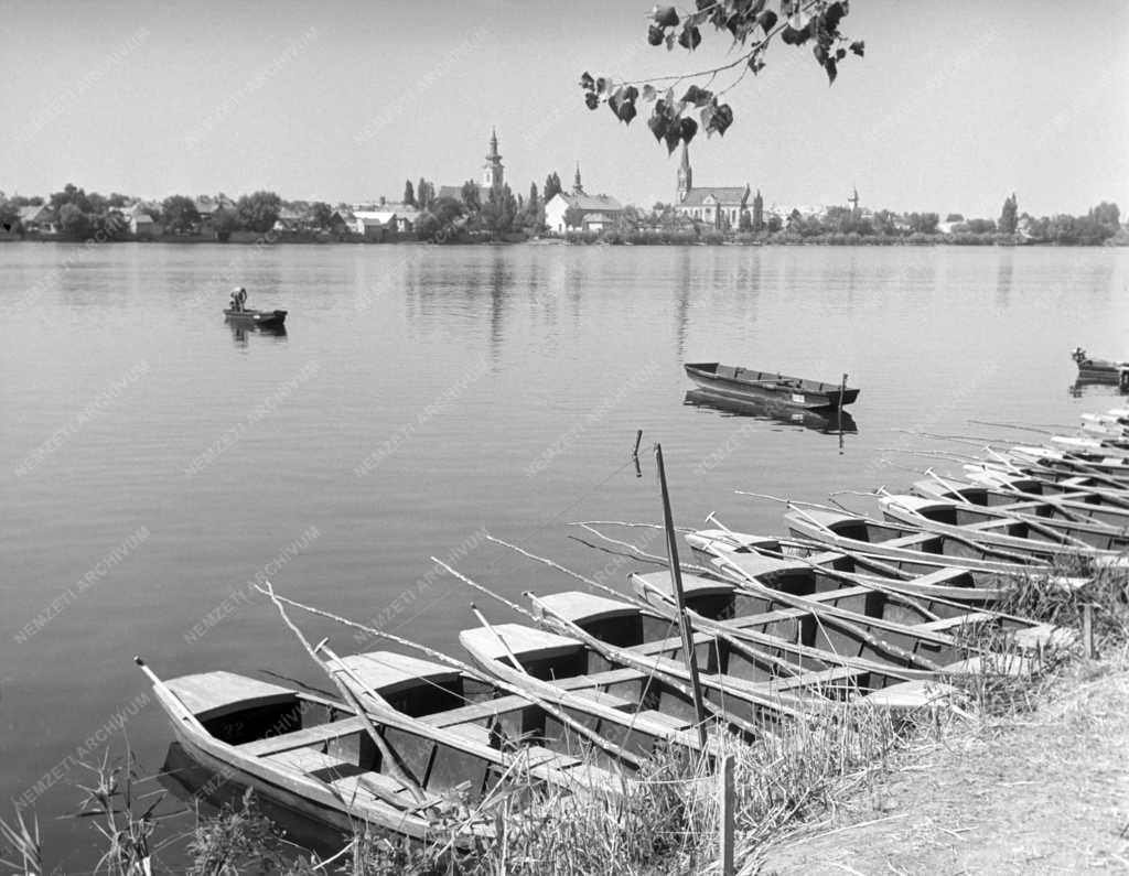 Szabadidő - Első Országos Halfogási Bajnokság Ráckevénél