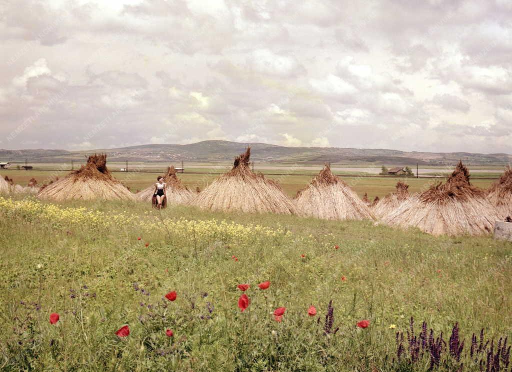 Magyarországi képek - Agárd