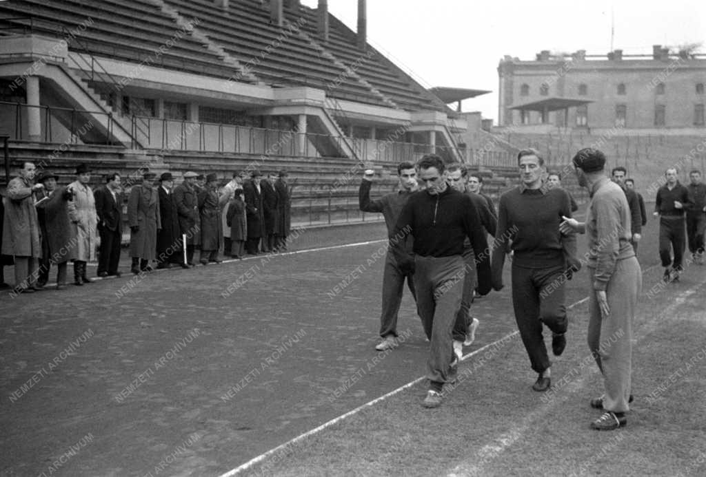 Sport - Labdarúgás - A válogatott edzése