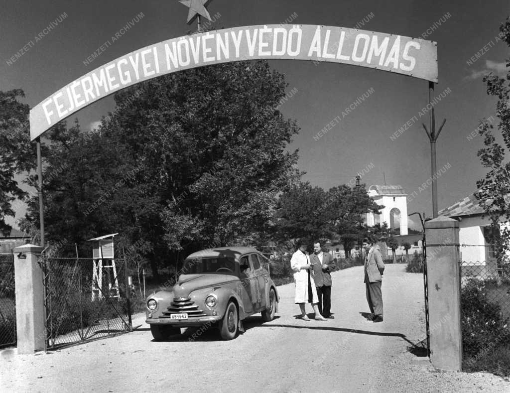 Mezőgazdaság - Fejér megyei Növényvédő Állomás