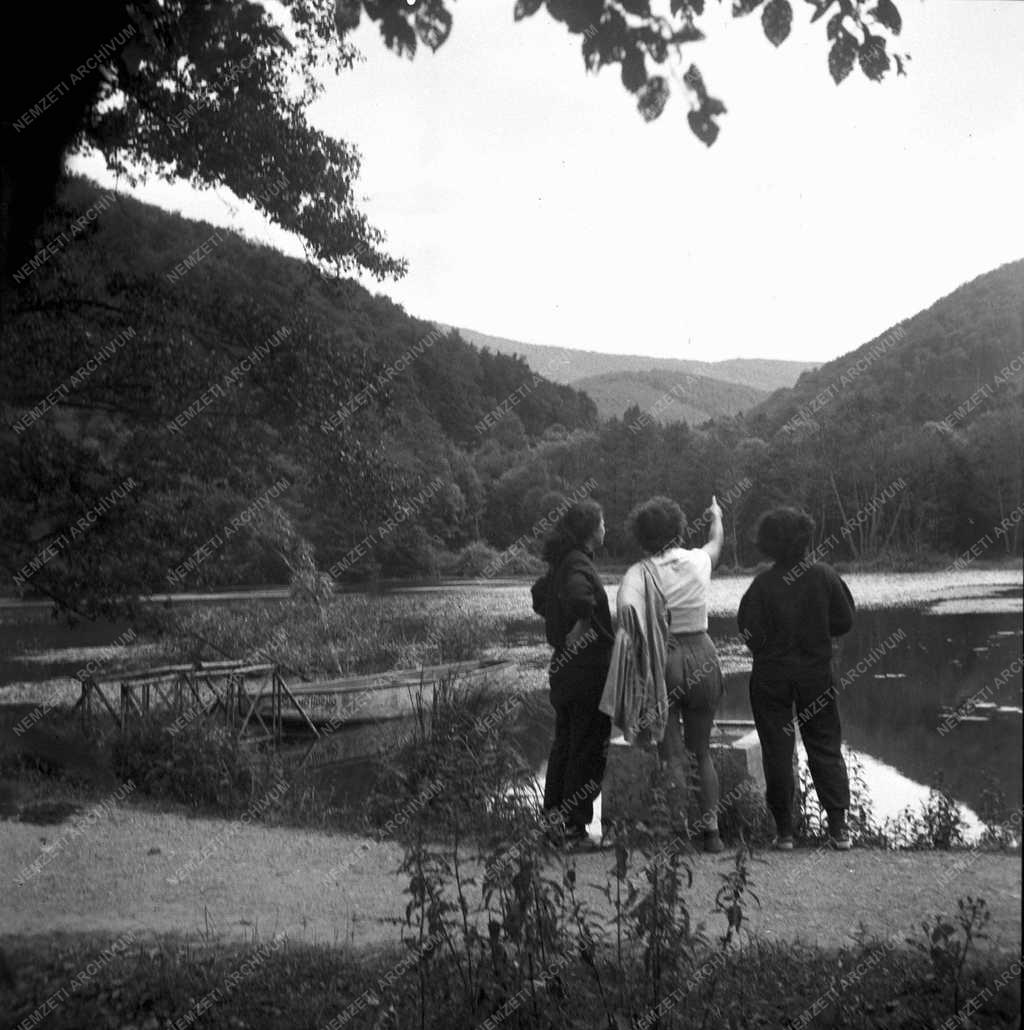 Színes - Tájak - Hámori-tó