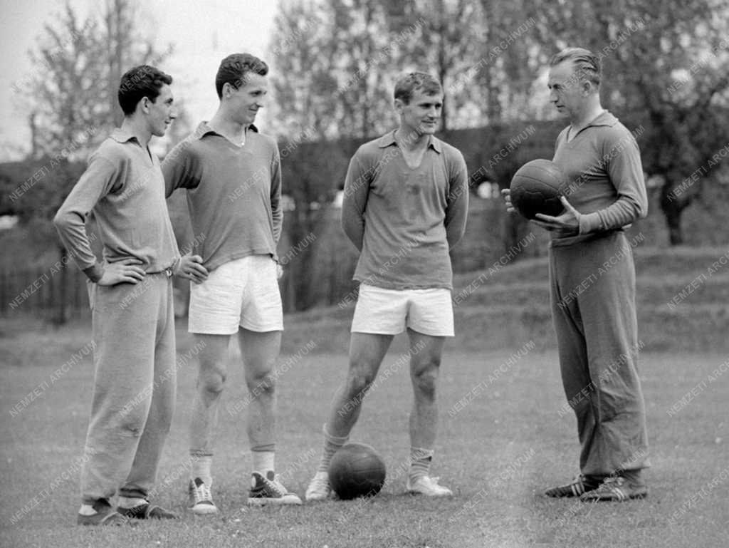 Sport - Nyári Olimpiai Játékok - Róma - Felkészülés