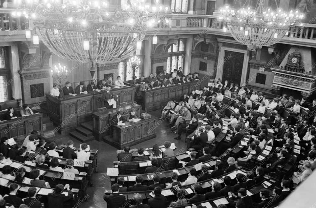 Belpolitika - Budapesti Diákparlament