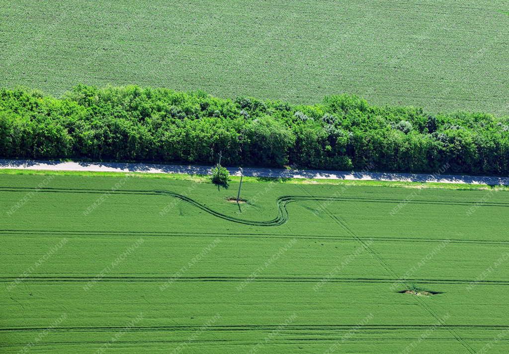 Mezőgazdaság - Precíziós helymeghatározású talajművelés Hajdúszoboszlónál