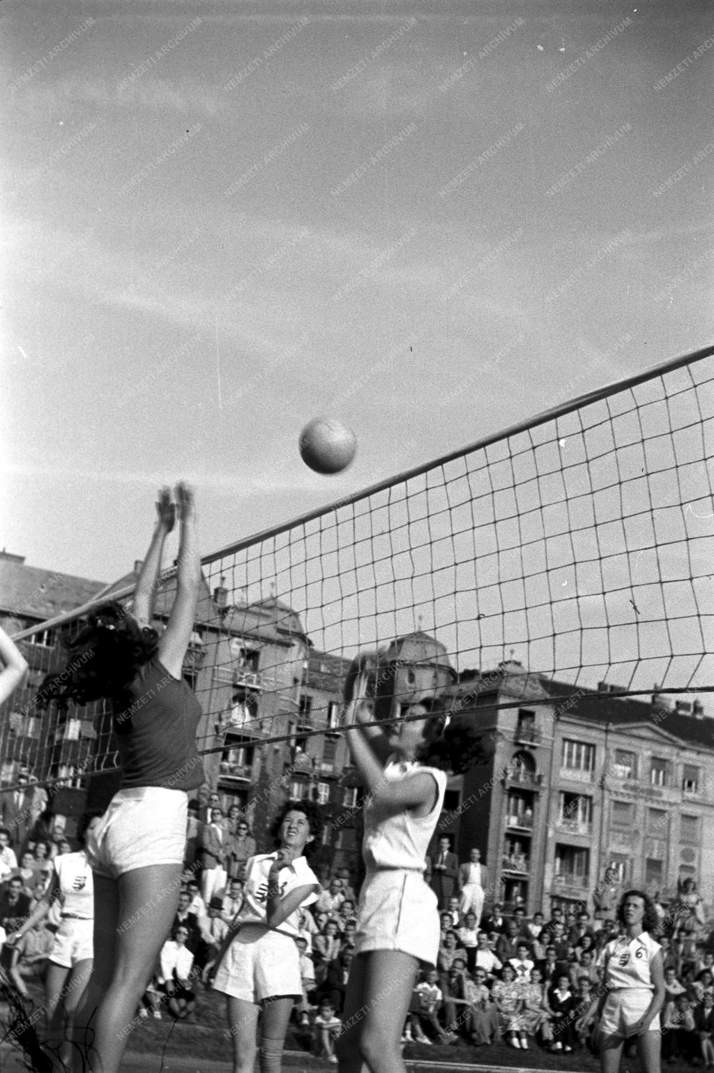 Sport - Röplabda