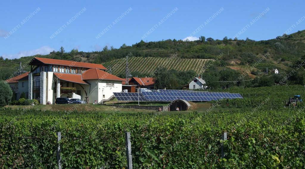 Borászat - Tarcal - A Tokajicum Pincészet épülete
