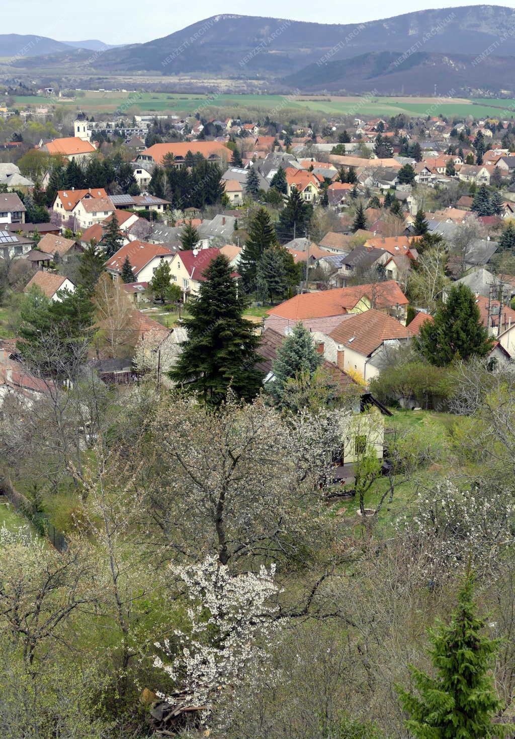 Település - Solymár