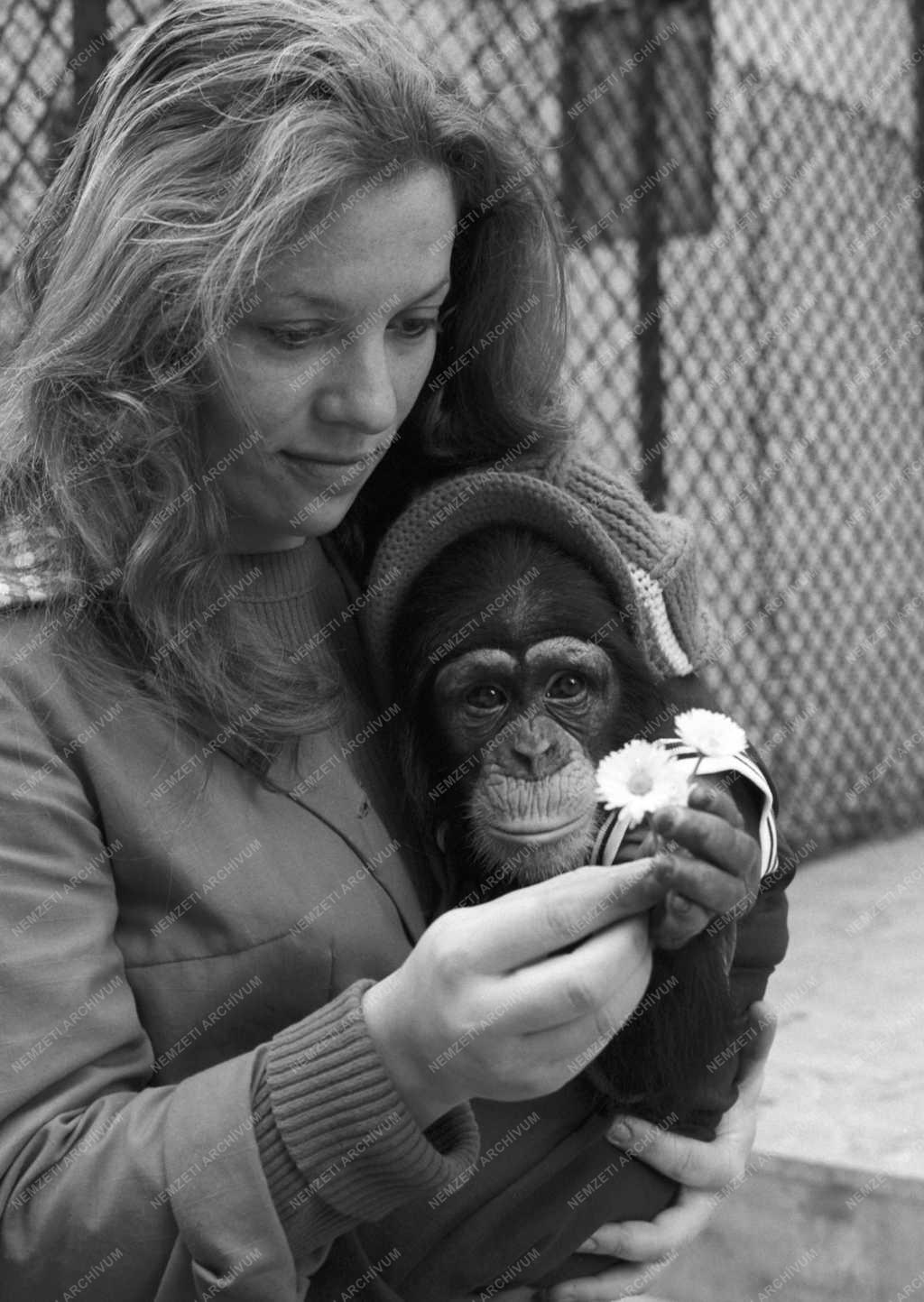 Állatkert - Tavasz a veszprémi állatkertben