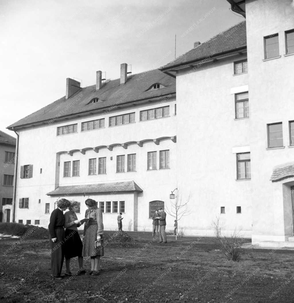 Iskola - Gyapottermelési Technikum