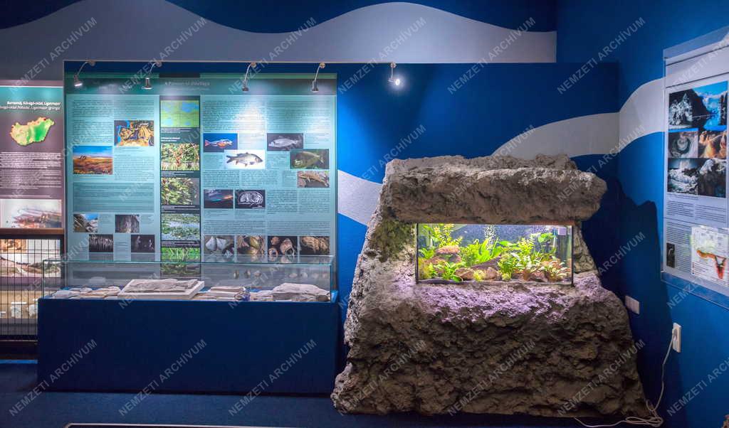 Kultúra - Miskolc - Új kiállítóhely - Pannon-tenger Múzeum