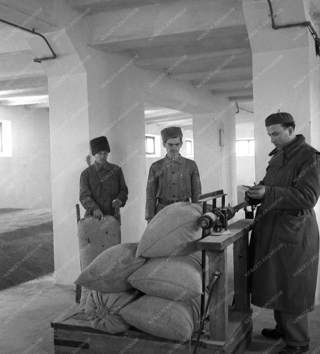 Mezőgazdaság - Kunfehértói Állami Gazdaság 