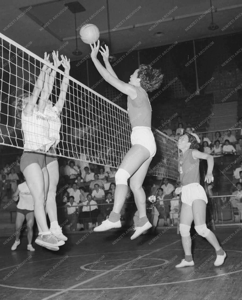 Sport - Röplabda - Magyarország - Észak-Korea