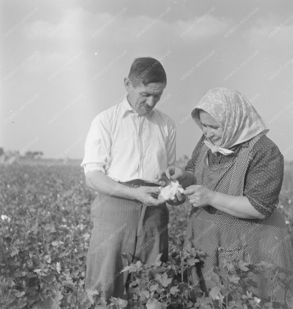 Veréb János mintagazda