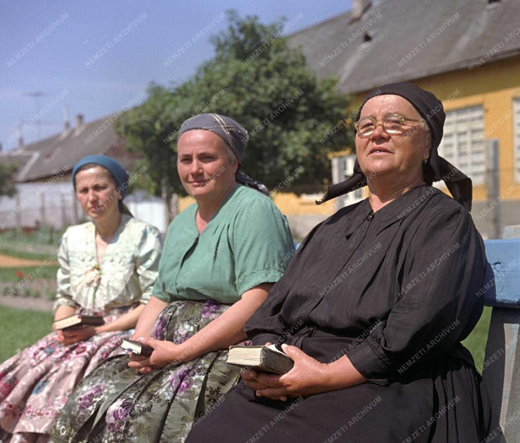 Kultúra - Néphagyomány - Sárközi Napok
