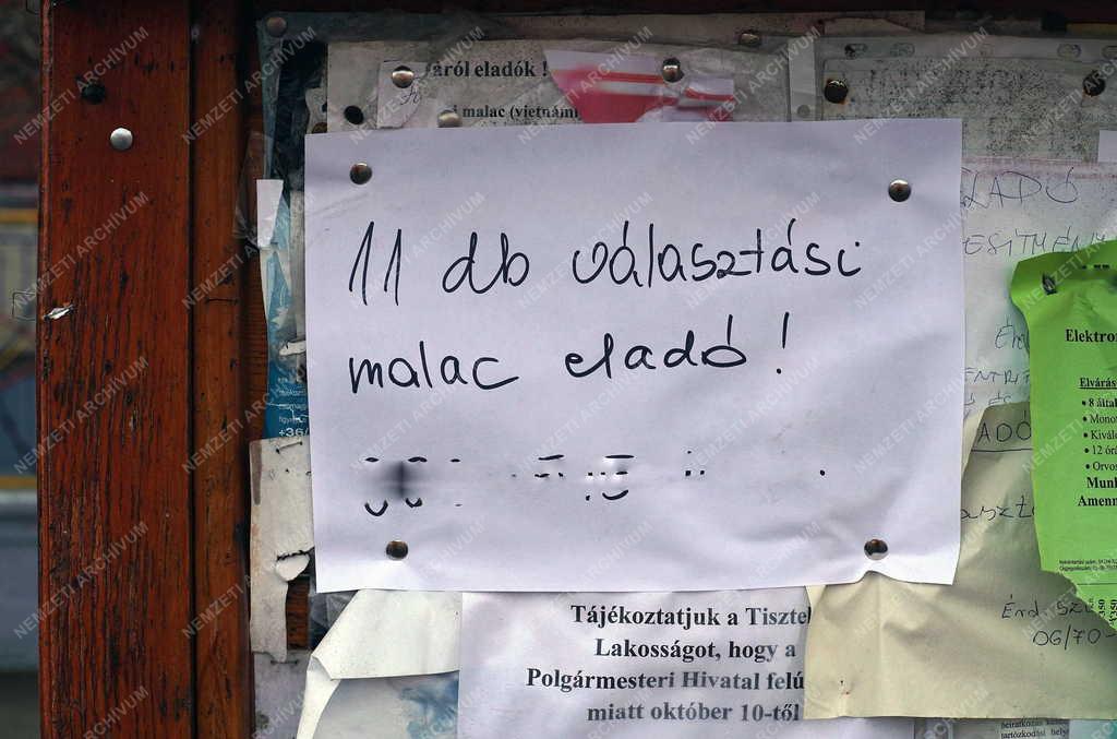 Utcakép - Görbeháza - Lakossági hirdetés