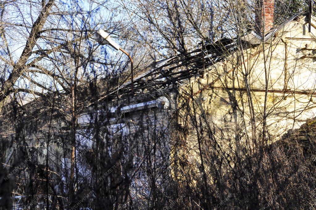 Rákosrendezői rozsdaövezet