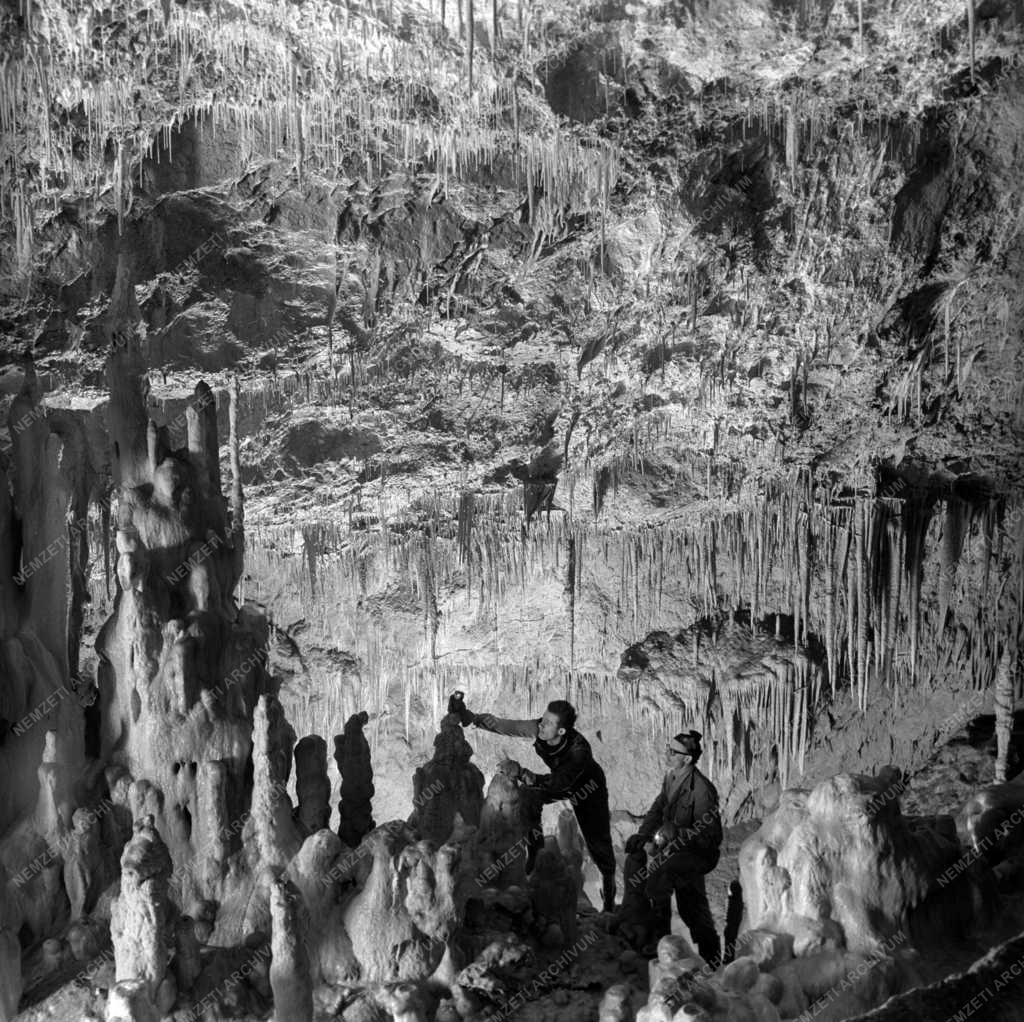 Természet - Baradla-barlang