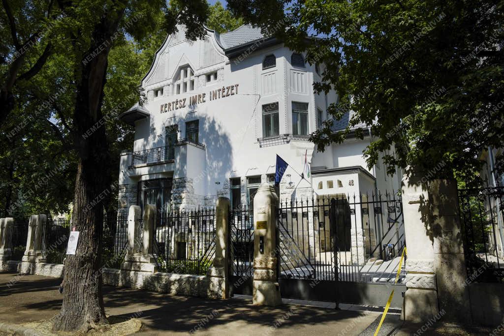 Városkép - Budapest - Kivágásra jelölt fa a Benczúr utcában