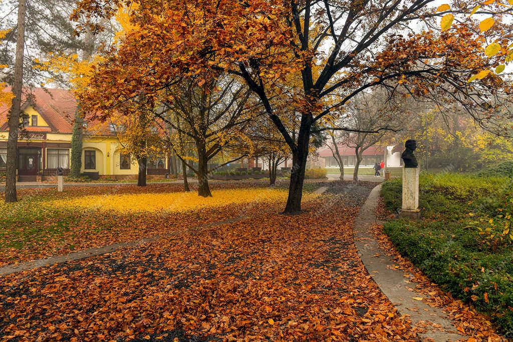 Időjárás - Debrecen - Párás, ködös idő