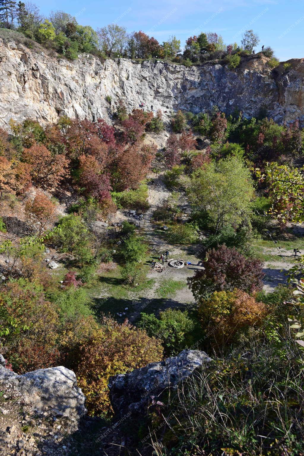 Tájkép - Budapest - Róka-hegyi egykori kőfejtő