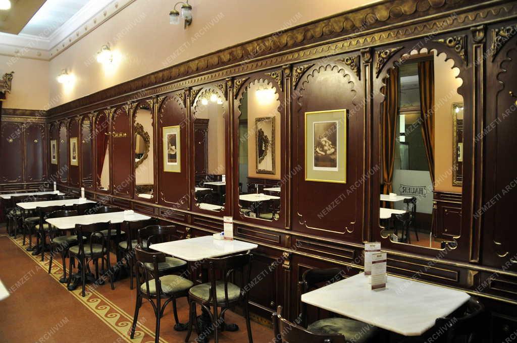 Vendéglátás - Budapest - Újra kinyitott a Hauer cukrászda 