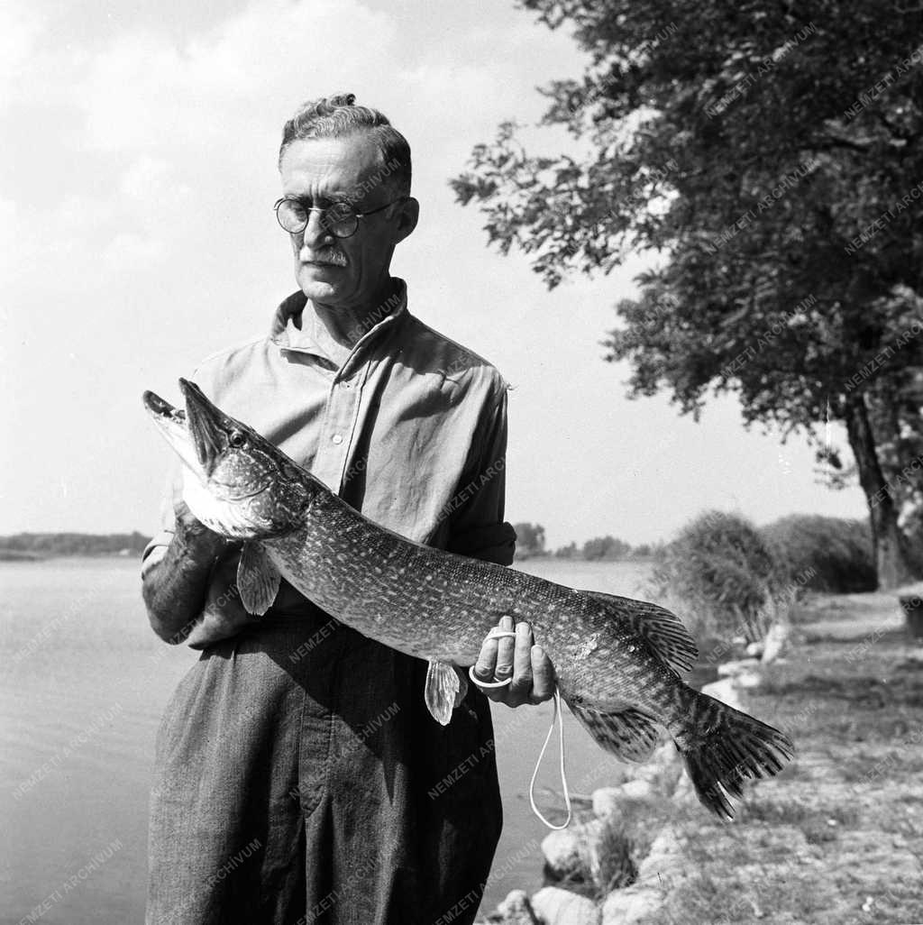 Szabadidő - Horgászat