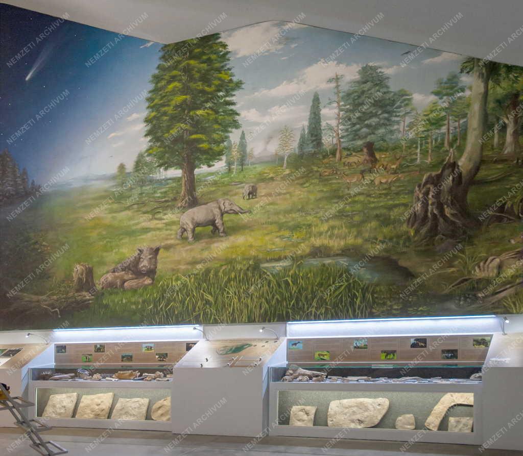 Kultúra - Miskolc - Új kiállítóhely - Pannon-tenger Múzeum