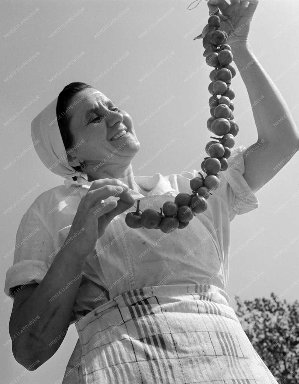 Kiállítás - 65. Országos Mezőgazdasági Kiállítás és Vásár