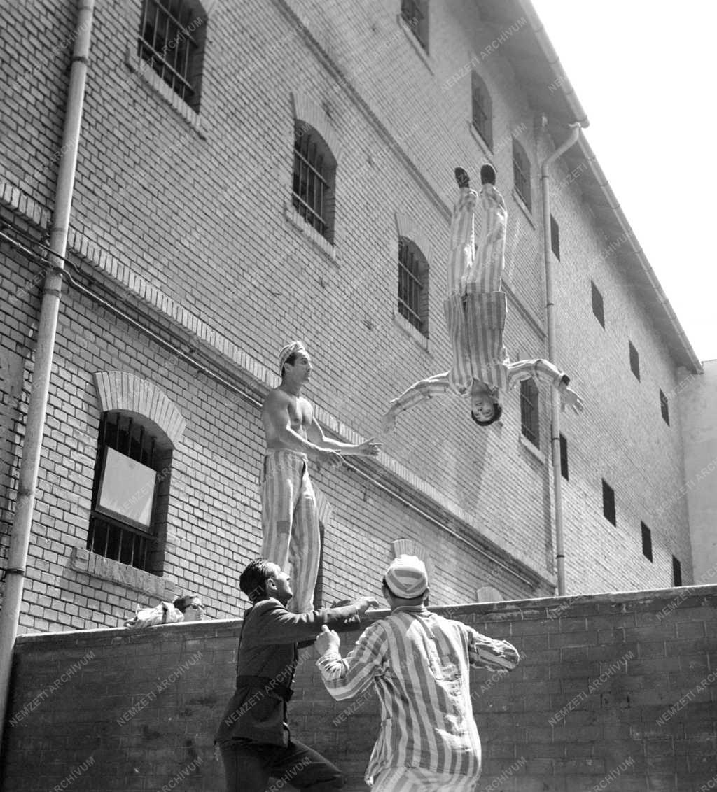 Kultúra - Film - Gyerekbetegségek