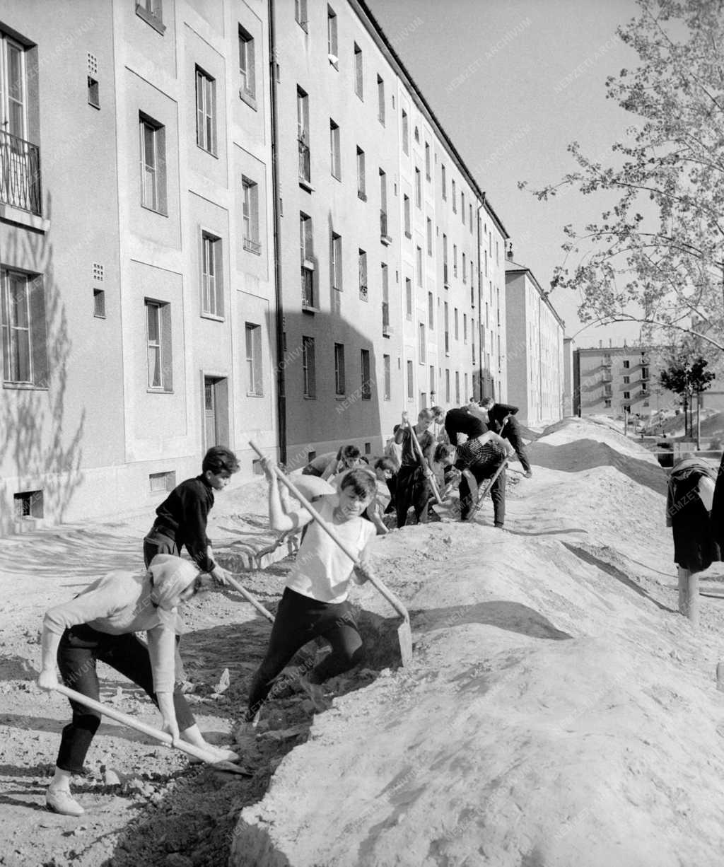 Szervezet - Dunaújvárosi fiatalok társadalmi munkája