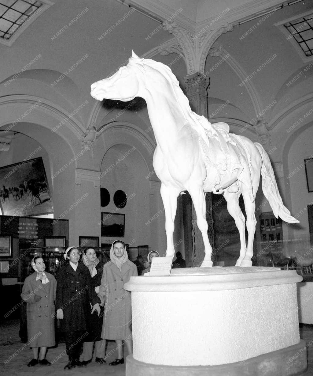 Oktatás - Kultúra - Múzeum 