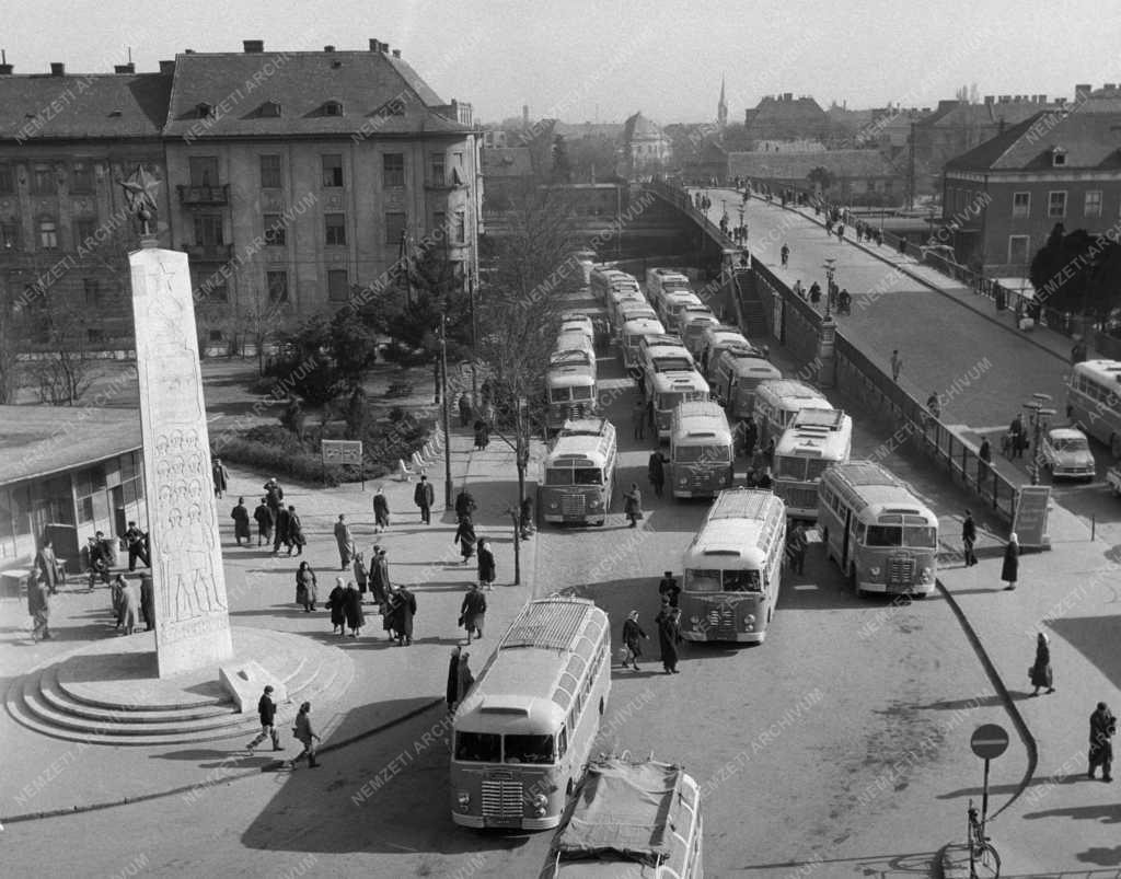 Helyi közlekedés - Bővült a MÁVAUT hálózat