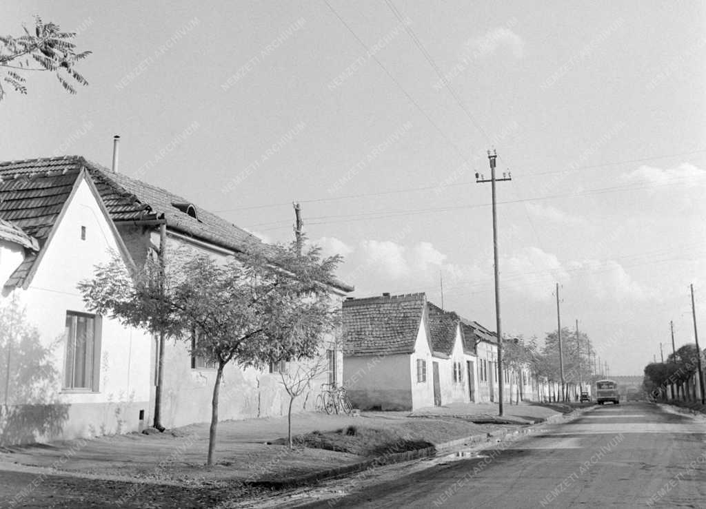 Városkép-életkép - Váci utcarészlet