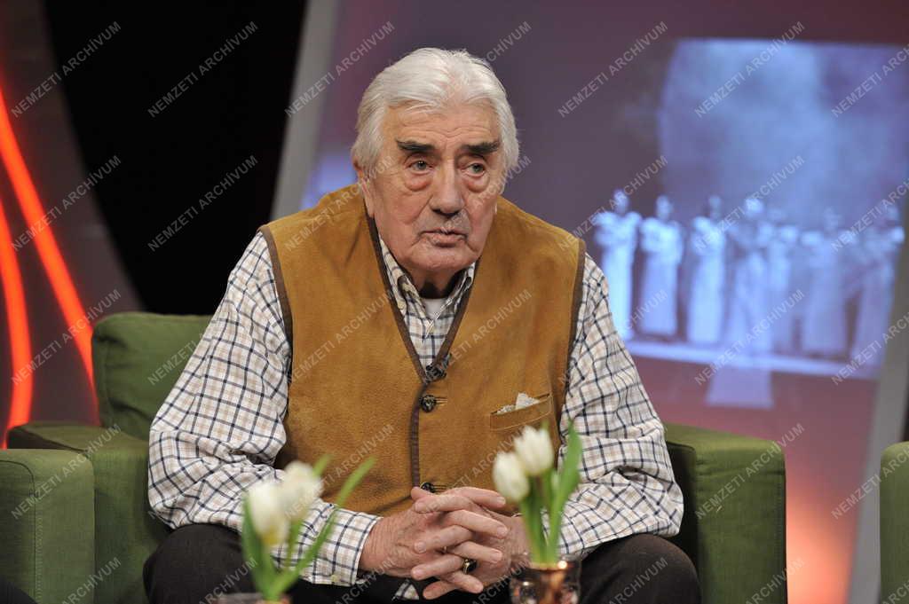 Televízió - Hogy volt?! - Peczkay Endre