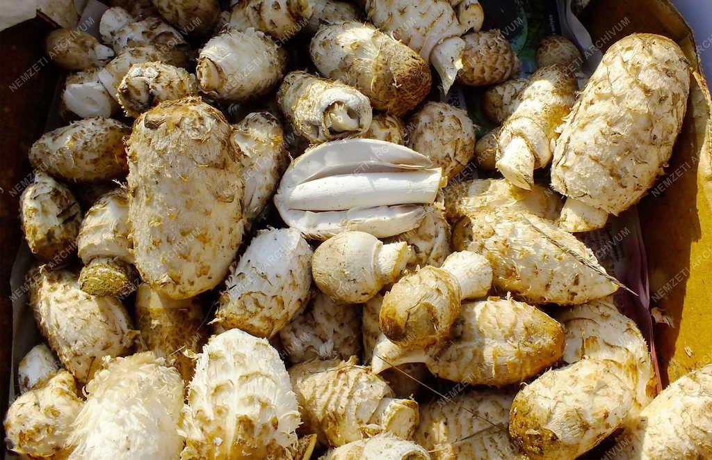 Piac - Nagymaros - Gyapjas tintagombák az őstermelői piacon