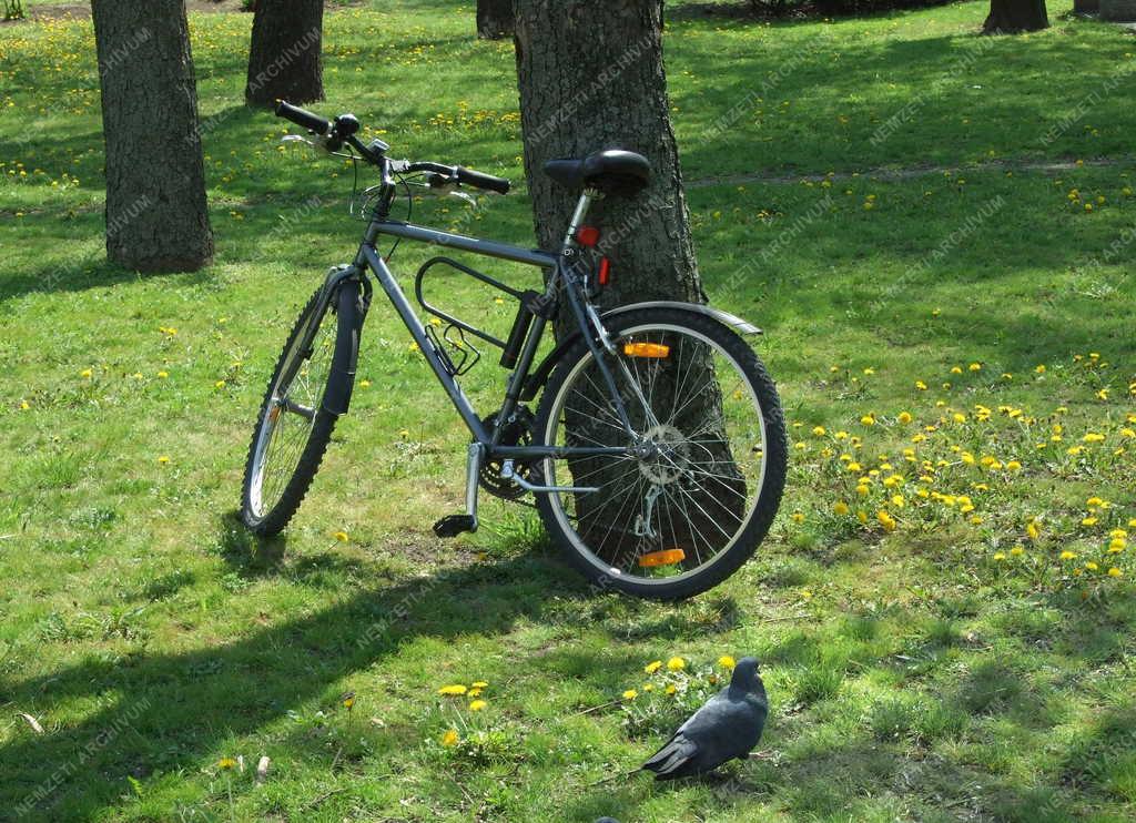 Természet - Budapest - Tavasz a fővárosi parkban