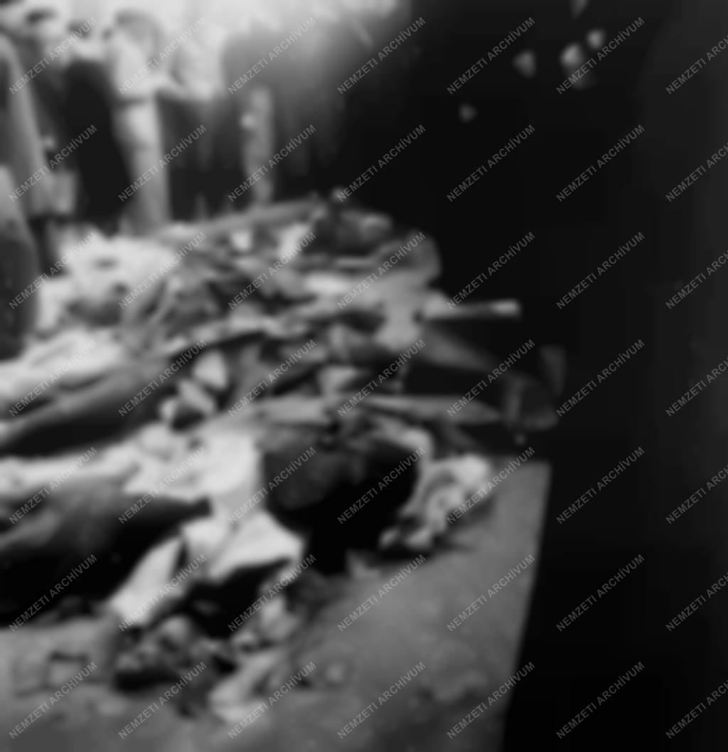 Ötvenhat emléke - Meglincselt ÁVH-s katonák