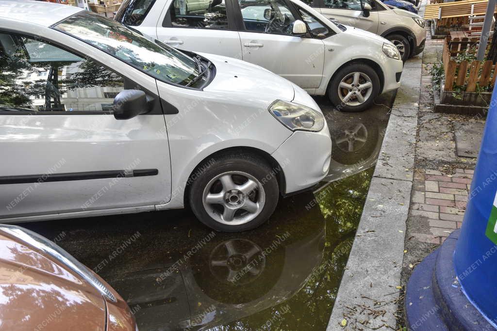 Időjárás - Közlekedés - Esővízben parkoló autók