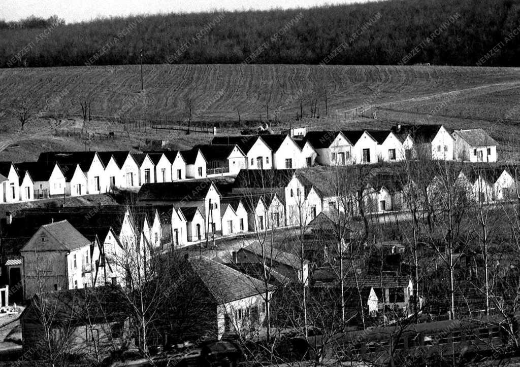 Mezőgazdaság - Villányi pincesor