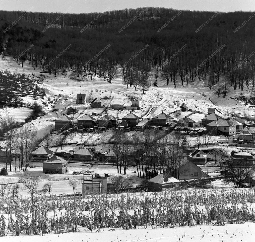 Zsánerkép - Tél a Pilisben