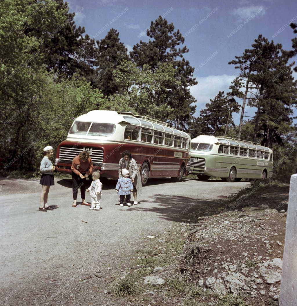 Idegenforgalom - Kirándulókat szállító buszok a Mecsekben