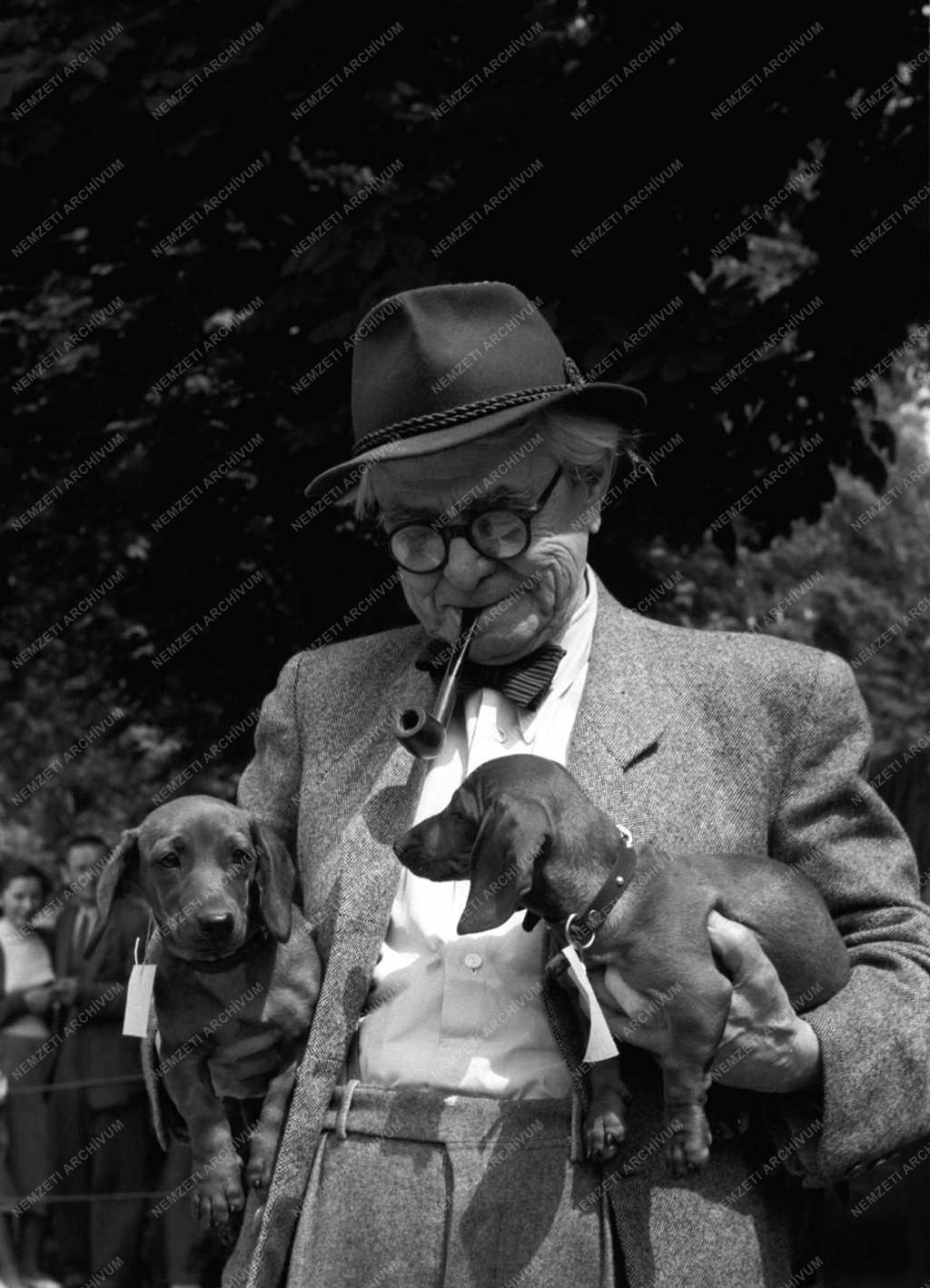 Kiállítás - Országos Kutyakiállítás és Vásár