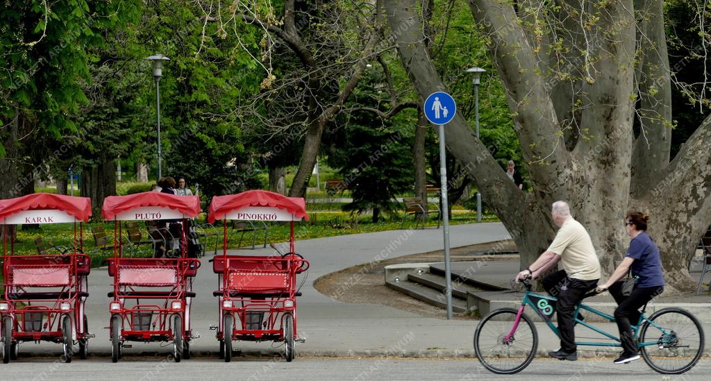 Városkép - Budapest - Tavasz a Margit-szigeten