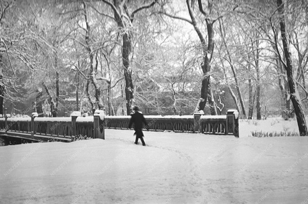 Természet - Életkép - Városkép - Tél Budapesten