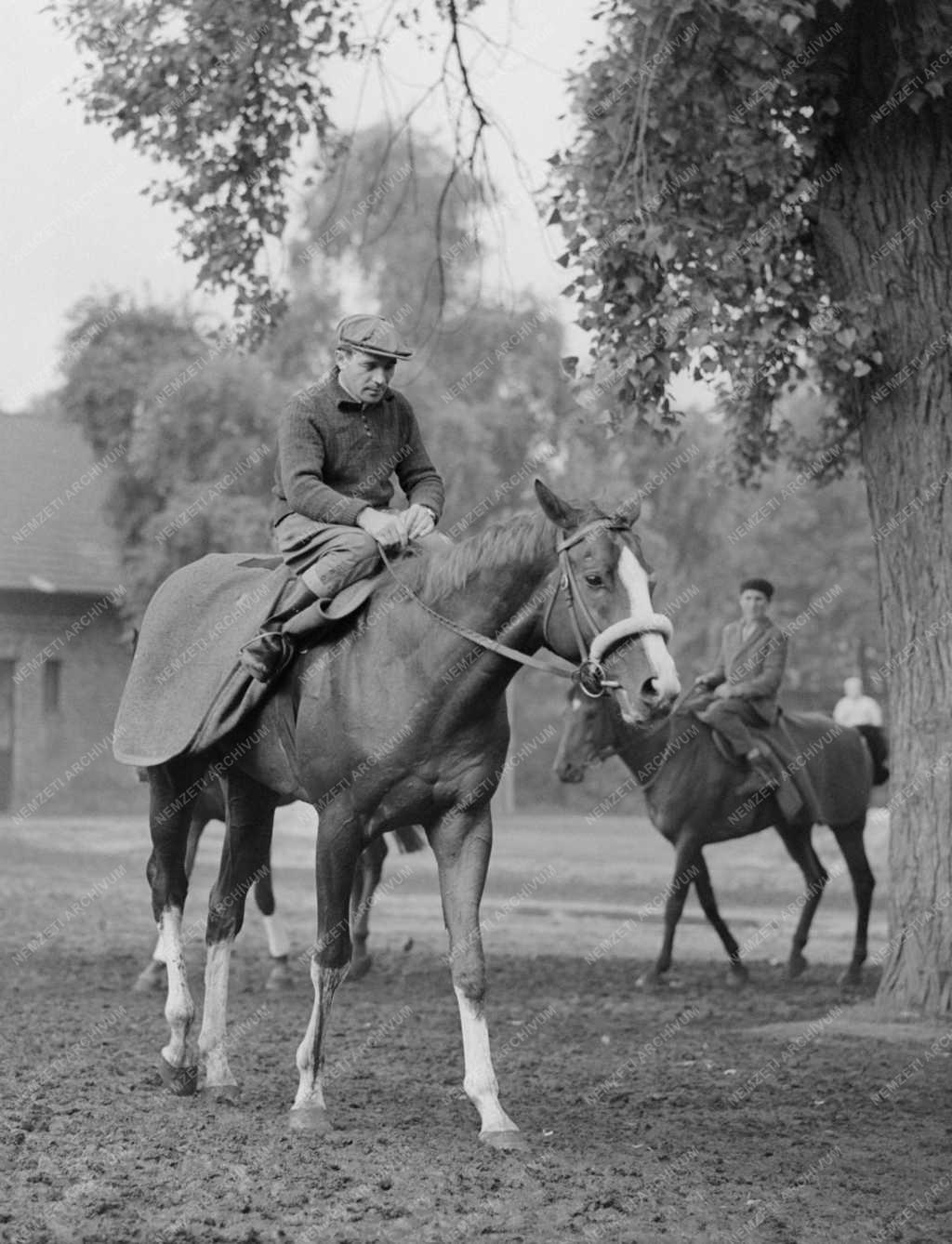 Lósport - Imperial