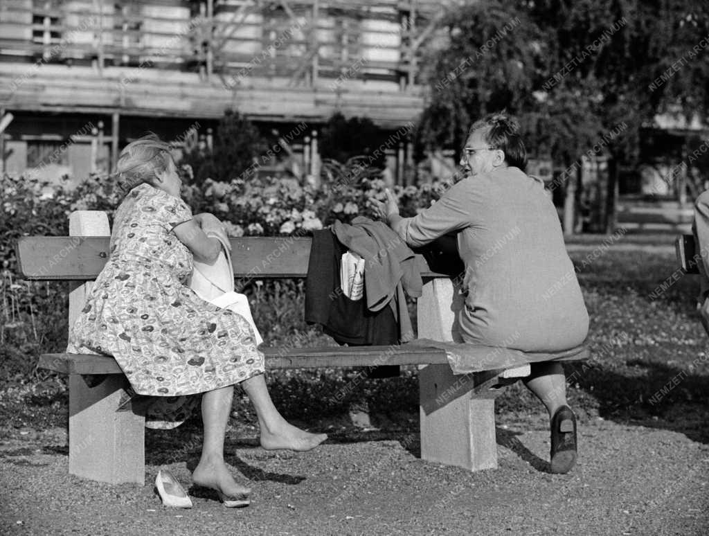Életkép - Parkban beszélgető nők