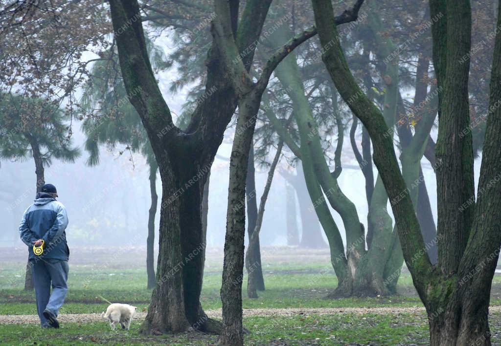 Időjárás - Budapest - Ködös téli reggel a parkban