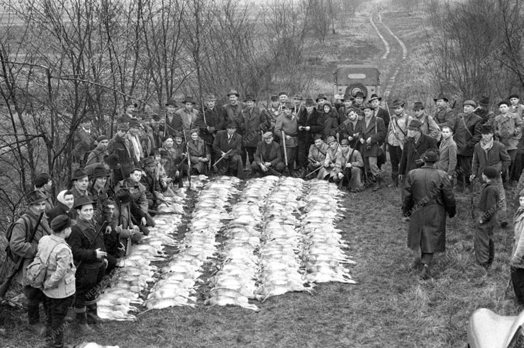 Mezőgazdaság - Hírügynökség - Az MTI munkatársai vadászaton